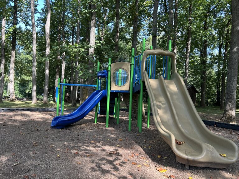 Playground with blue and tan slides, green railings, and climbing structures, surrounded by tall trees and scattered leaves on the ground.
