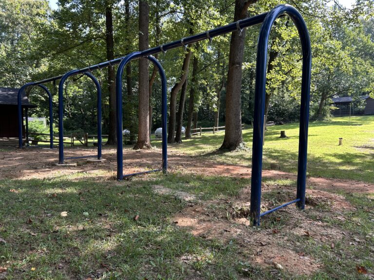 Empty blue metal monkey bars stand on a patchy grassy area in a park, surrounded by trees and sunlight.