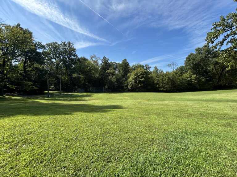 A large grassy field bordered by tall trees under a bright blue sky with wispy clouds. Shadows from the trees stretch across the vibrant green grass on a sunny day.