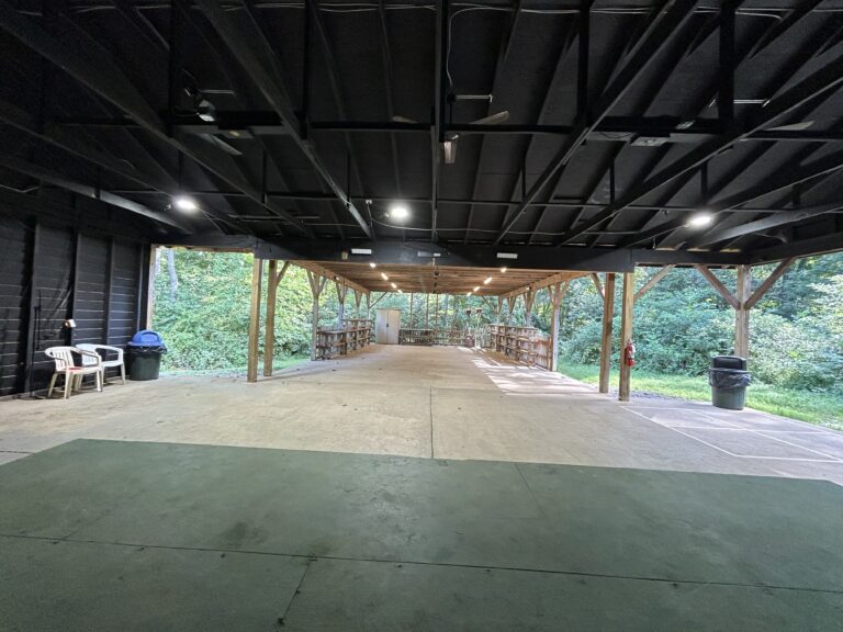 A covered open-air pavilion with a high dark ceiling, lights, wooden beams, railing, some plastic chairs, and trash bins. Greenery and trees are visible outside in the background.