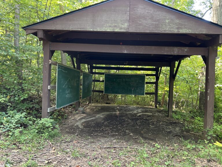 A wooden shelter in a forest clearing houses three chalkboards. The boards display faded writing and drawings. The ground is dirt, and lush green foliage surrounds the open structure.