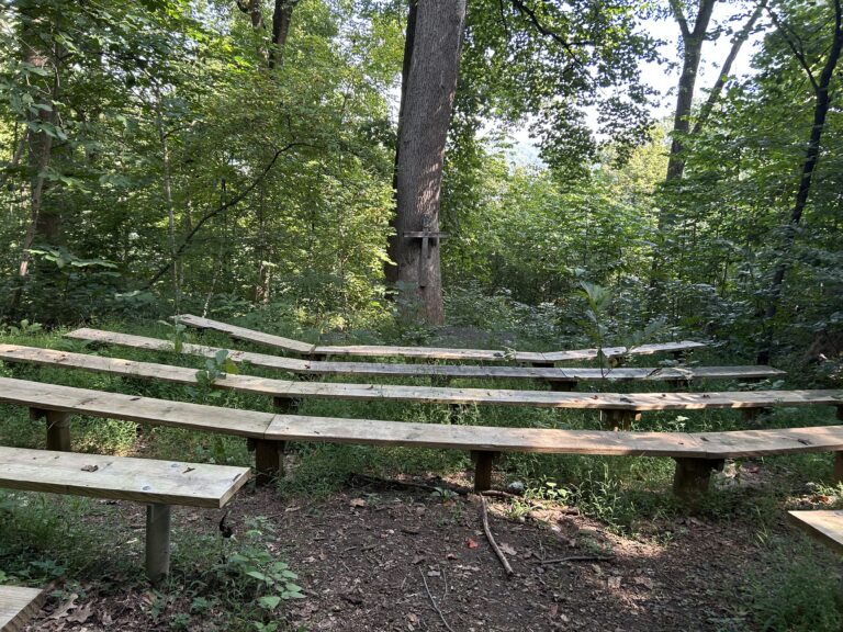 Wooden benches arranged in a semicircle in a forest clearing, surrounded by dense green trees and foliage, suggesting an outdoor meeting or gathering area.