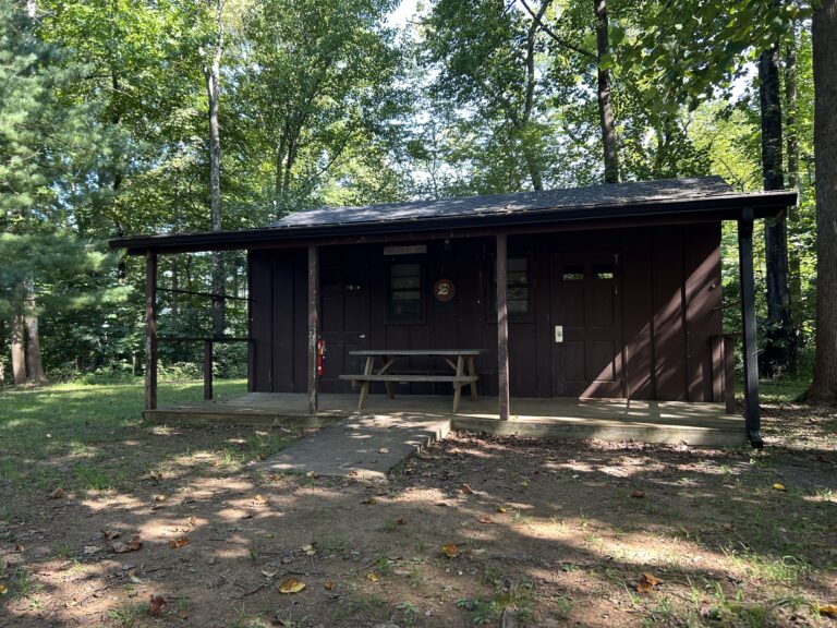 A small brown wooden cabin with a porch and bench sits among tall green trees on a sunny day, with dappled sunlight on the grass and building.